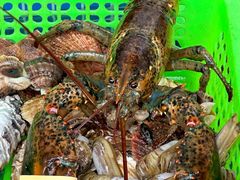 -富临港蒸汽海鲜(栈桥店)