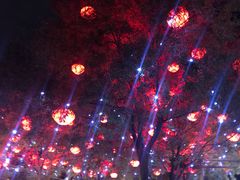 -大雁塔文化休闲景区-北广场