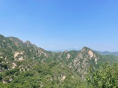 -大岭沟猕猴桃谷风景区