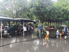 -青城甲(青城山店)