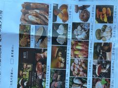 -野菌皇海景野生菌火锅(滨海大道店)