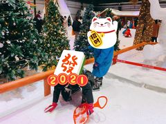 -宁波冰雪大世界(北仑区)