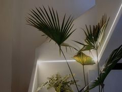 -伊斯坦布尔土耳其清真咖啡餐厅