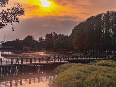 -麓湖高尔夫球俱乐部