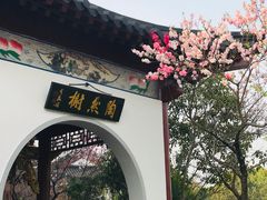 -南汇桃花村