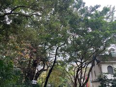 -九龙公园
