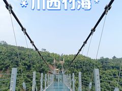 -川西竹海景区