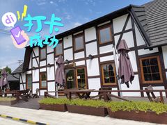 -金山农民画村-枫泾波兰倒置屋