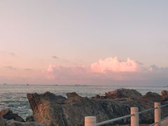 -海合安青岛极地海洋公园