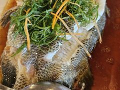 -美人鱼悬崖海景餐厅(鹿嘴山庄店)
