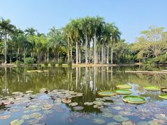 -中国科学院西双版纳热带植物园