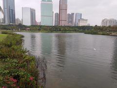 -万绿园