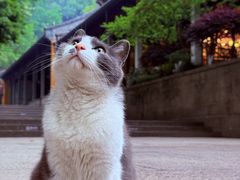 -灵隐飞来峰景区