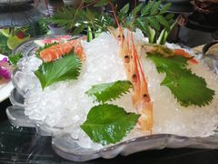 -大蓉和(双楠店)