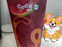 -CoCo都可(建外SOHO店)