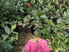 -金谷域澳洲庄园