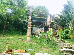 -深圳野生动物园