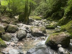 -牛背梁国家森林公园
