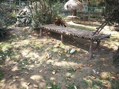 -西安秦岭野生动物园