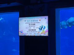 -太平洋海底世界