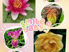 -陕西省西安植物园