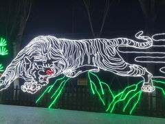 -青龙湖公园