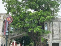 -赤坎·广东华侨国际旅游度假区