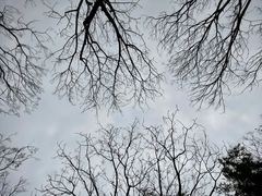 -苏州河梦清园环保主题公园