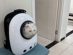 -美联众合动物医院·24h京西诊疗中心