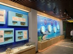 -海中洲渔社