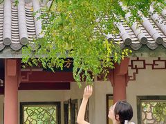-广州神农草堂中医药博物馆
