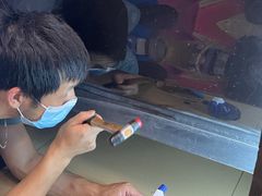 -凹陷平