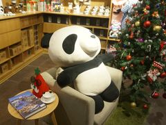 -熊猫屋(宽窄巷子景区店)