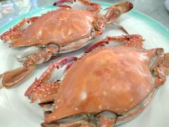 -金沙滩海鲜餐厅·海肠捞饭·手工水饺(梅江龙水园店)