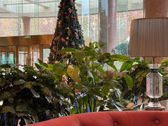 -南京维景国际大酒店(南京博物院店)