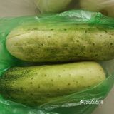 这是一款适合清炒的清炒黄瓜