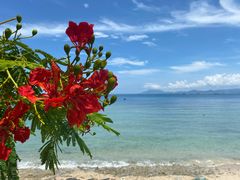 -三亚西岛海洋文化旅游区