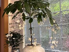-沐森 •疗愈头疗馆(打浦桥店)