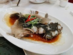 -寻味顺德·南记酒家·传统顺德菜·鱼生(广源路店)