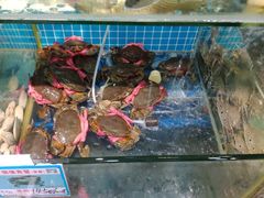 水产区-范饭椰林川湘味海鲜·椰子鸡(三亚湾椰梦长廊店)