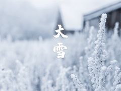 -106餐厅北京菜.烤鸭(百子湾店)