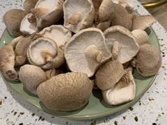 -椰子营·椰子鸡火锅(万象里店)