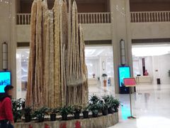 -兴芮温泉度假区