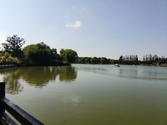 -上海长兴岛郊野公园