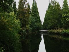 -东平国家森林公园