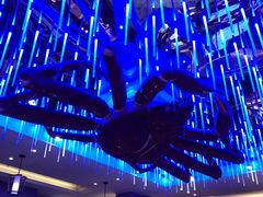 景观位-蟹之国·精品蟹料理(极地店)