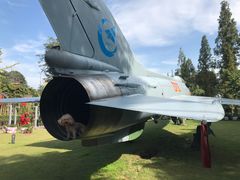 -成飞公园
