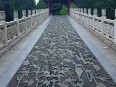 -东湖落雁景区