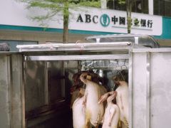 -鹅簋(顺德总店)