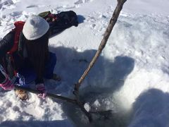 -北极村旅游风景区